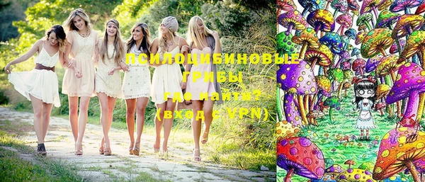 mdma Богородицк
