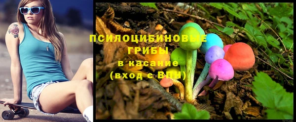 спайс Богородск
