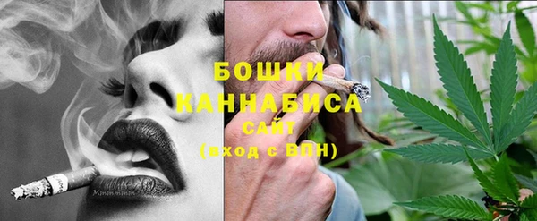 гидра Белоозёрский