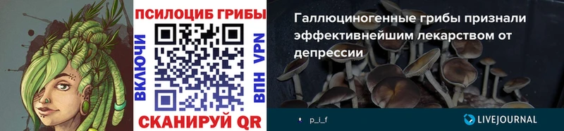площадка формула  Качканар  Галлюциногенные грибы Cubensis 